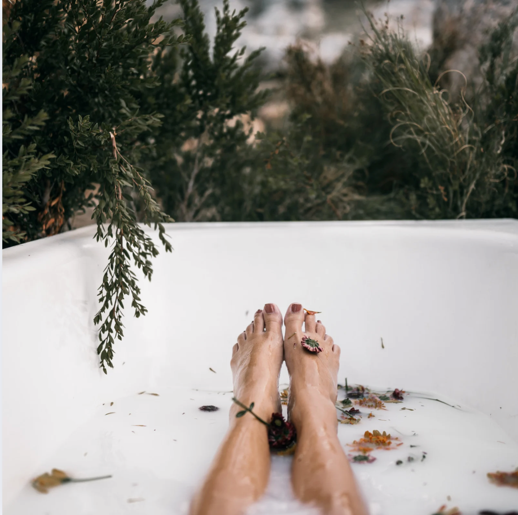 GALLON ORGANIC COCONUT MILK BATH