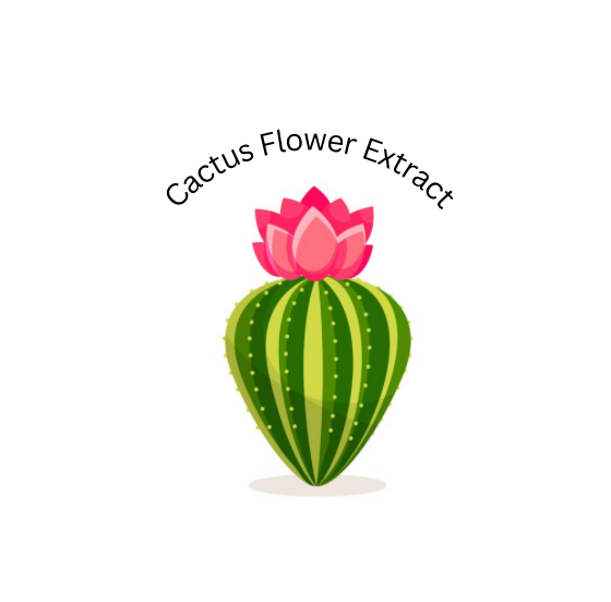 CACTUS FLOWER EXTRACT